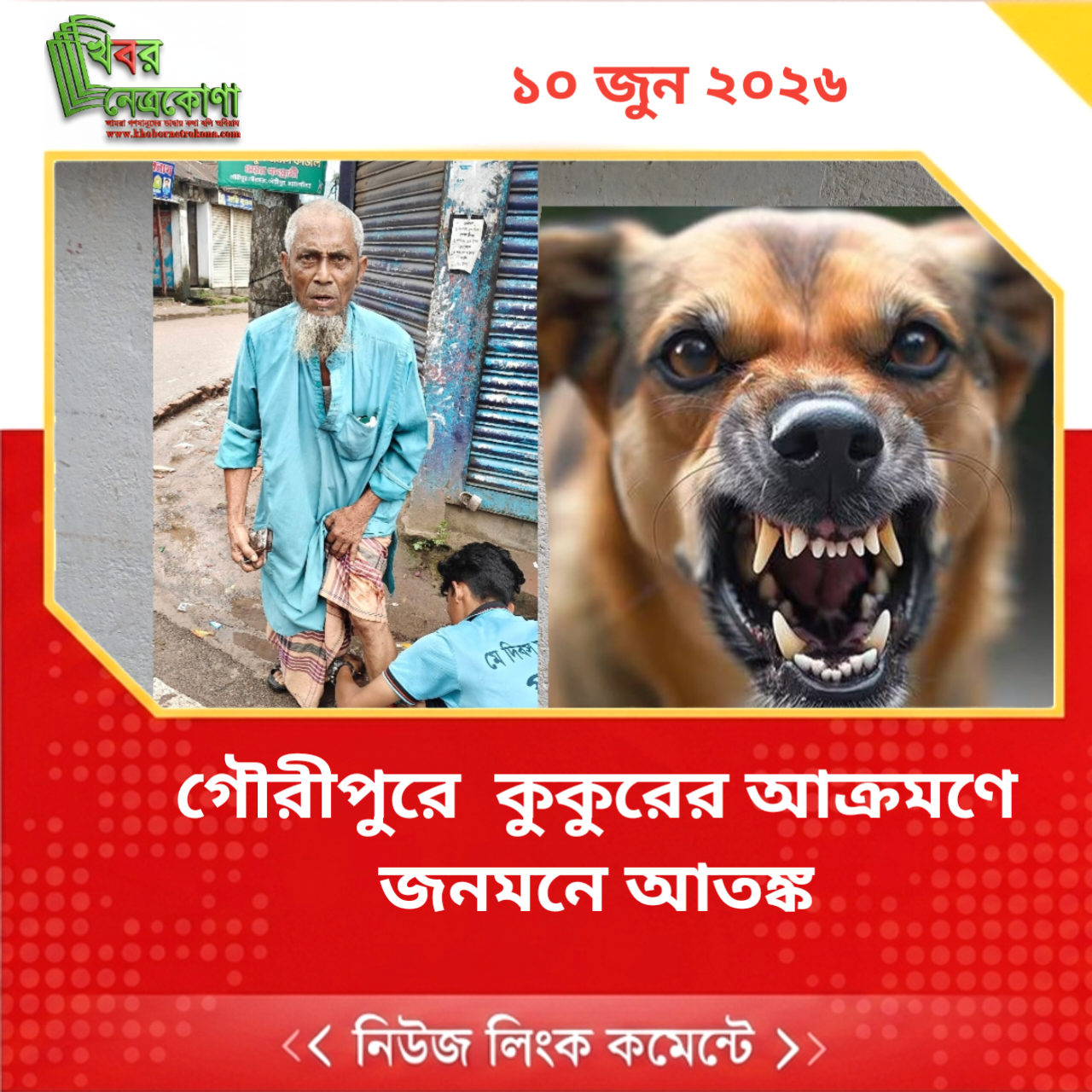 গৌরীপুরে  কুকুরের আক্রমণে জনমনে আতঙ্ক